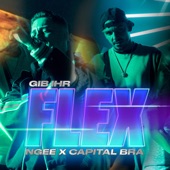 Gib ihr Flex artwork