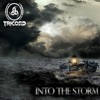 Into the Storm - EP