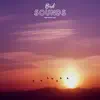 Bird Sounds For Sleep Aid album lyrics, reviews, download