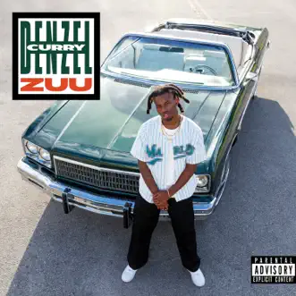 BIRDZ (feat. Rick Ross) by Denzel Curry song reviws