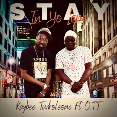 Stay In Yo Lane (feat. O.T.T) - Single
