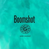 Boomshot artwork
