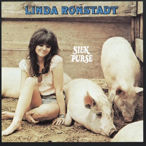 Linda Ronstadt - Long Long Time - Line Dance Music