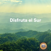 Vientos del Sur (Background) artwork