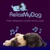 Pet Relaxation - Music to Relax Dogs and Encourage Sleep - Fight Against Separation Anxiety album lyrics, reviews, download