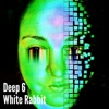 White Rabbit - Single