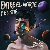 Entre el Norte y el Sur artwork