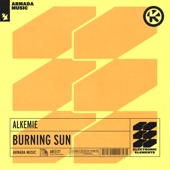 Burning Sun artwork