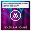 Call Me Back to You (Mike Van Fabio Remix) - Single
