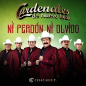 Ni Perdón Ni Olvido artwork