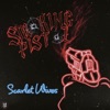Scarlet Wives - Smoking Pistol