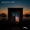 Look For What's Looking - Single