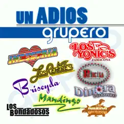 Un Adiós Grupero by Various Artists album reviews, ratings, credits