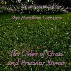 The Color of Grass and Precious Stones - Single by Skye Hamilton-Carranza album reviews, ratings, credits