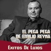 El Pega Pega De Emilio Reyna - Que Hare Sin Ti