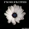I’m so Excited - Single album lyrics, reviews, download