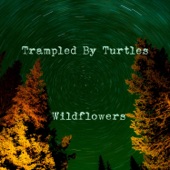 Trampled By Turtles - Wildflowers