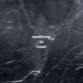 Nothing Is Real artwork