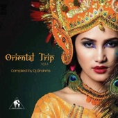 Oriental Trip, Vol. 4 (Compiled by Dj Brahms) artwork