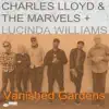 Vanished Gardens album lyrics, reviews, download