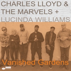 VANISHED GARDENS cover art