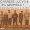 Dust - Charles Lloyd & The Marvels & Lucinda Williams lyrics