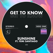 Sunshine (feat. Femi Santiago) artwork