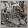 The Templar Verdict - Single