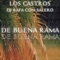 De Buena Rama (feat. Los Castros) - DJ RAFA CON SALERO lyrics