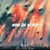 Now or Never album lyrics, reviews, download