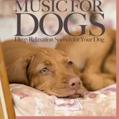 Music For Dogs: Deep Relaxation Sounds for Your Dog by Dog Music Dreams, Relaxmydog & Pet Music Therapy album reviews, ratings, credits