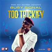 Too Trickify artwork