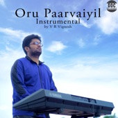 Oru Paarvaiyil (Instrumental) artwork