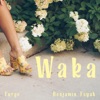 Waka - Single