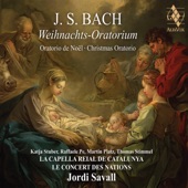 Weihnachts-Oratorium, BWV 248, VI. Teil: Nr. 63, Rezitativ (Quartett). Was will der Höllen Schrecken nun artwork