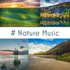 # Nature Music: 50 Tracks of Relaxing Nature Ambient, Meditation, Sleep & Wellness album lyrics, reviews, download