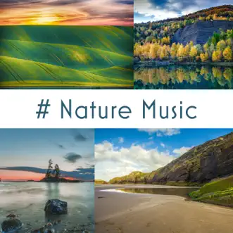 # Nature Music: 50 Tracks of Relaxing Nature Ambient, Meditation, Sleep & Wellness by Relaxing Nature Sounds Collection, Meditation Music Zone & Calming Water Consort album reviews, ratings, credits