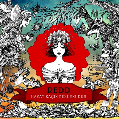 Sevmeden Geçer Zaman (feat. Şebnem Ferah) - Redd