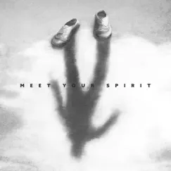 Meet Your Spirit by Alicia Bliss & Lynn Samadhi album reviews, ratings, credits