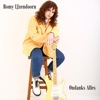 Ondanks Alles - Single