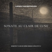 Beethoven: Sonate au Clair de Lune (Sonate in C-Sharp Minor, Op. 27, 2: I. Adagio sostenuto) artwork