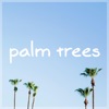 Palm Trees - Single, 2018