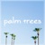 MBB-Palm Trees