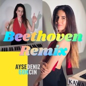 Beethoven Remix artwork