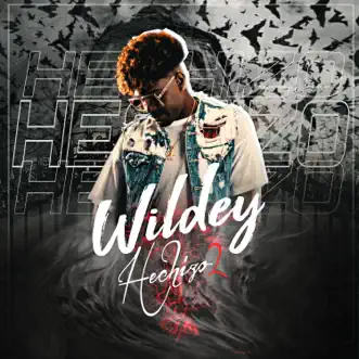 Hechizo 2 - Single by Wildey album reviews, ratings, credits