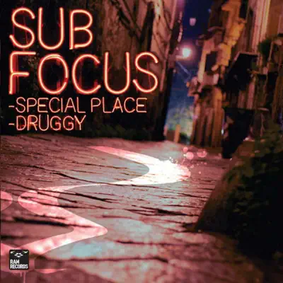 Special Place / Druggy - Single - Sub Focus