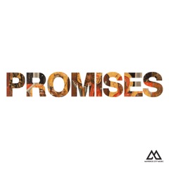 Promises (Radio Version)