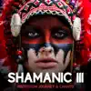 Shamanic 111 – Meditation Journey & Chants: Native American Flute and Drums, Spiritual Healing Music album lyrics, reviews, download