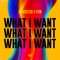 What I Want artwork