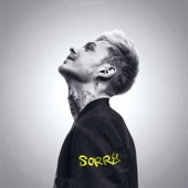 Sorry artwork